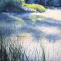 Morning Painting by Barbara Pease Morning Painting by Barbara Pease