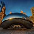 Morning Bean Photograph by Sebastian Musial Morning Bean Photograph by Sebastian Musial