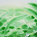 Morning Dew Drops by Irina Sztukowski Morning Dew Drops by Irina Sztukowski
