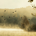 Morning fog on Haley Pond in Rangeley Maine Photograph by Jeff Folger Morning fog on Haley Pond in Rangeley Maine Photograph by Jeff Folger