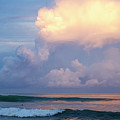 Morning Glory Photograph by Nik West Morning Glory Photograph by Nik West