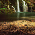 Morning Light at Dripping Springs by Tamyra Ayles