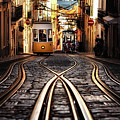 Morning Light Photograph by Jorge Maia
