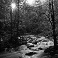 Morning Light On The Stream Photograph by Mike Eingle Morning Light On The Stream Photograph by Mike Eingle
