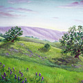 Morning Lupines Painting by Laura Iverson Morning Lupines Painting by Laura Iverson