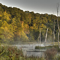 Morning Mist Photograph by Ann Bridges Morning Mist Photograph by Ann Bridges