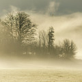 Morning Mood 0741 Photograph by Kristina Rinell Morning Mood 0741 Photograph by Kristina Rinell