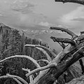 Moro Rock in Monochrome Photograph by Michael Tidwell