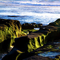 Moss Glow by Robert McKay Jones