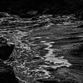 Motion in Black and White Photograph by Nicole Lloyd Motion in Black and White Photograph by Nicole Lloyd
