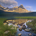 Mount Chephren And Waterfowl Lake Banff by Tim Fitzharris Mount Chephren And Waterfowl Lake Banff by Tim Fitzharris