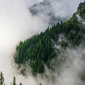 Mount Rainier National Park Clouds And Forest by Mike Reid Mount Rainier National Park Clouds And Forest by Mike Reid