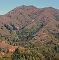 Mount Tamalpais #1 Photograph by Ben Upham III