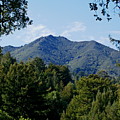Mount Tamalpais Photograph by Ben Upham III Mount Tamalpais Photograph by Ben Upham III