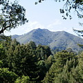 Mount Tamalpais from King Street 2 Photograph by Ben Upham III Mount Tamalpais from King Street 2 Photograph by Ben Upham III