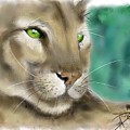 Mountain Lion Digital Art by Darren Cannell Mountain Lion Digital Art by Darren Cannell