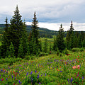 Mountain Medley by Jeremy Rhoades