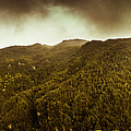 Mountain Of Trees by Jorgo Photography - Wall Art Gallery Mountain Of Trees by Jorgo Photography - Wall Art Gallery
