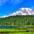 Mt. Rainier from Reflection Lakes Photograph by Don Mercer