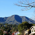 Mt Tamalpais View from Mill Valley Photograph by Ben Upham III Mt Tamalpais View from Mill Valley Photograph by Ben Upham III