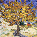 Mulberry Tree Painting by Vincent Van Gogh Mulberry Tree Painting by Vincent Van Gogh