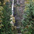 Multnomah Falls - 5 Photograph by DArcy Evans Multnomah Falls - 5 Photograph by DArcy Evans