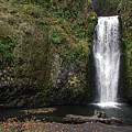Multnomah Falls 2 Photograph by DArcy Evans Multnomah Falls 2 Photograph by DArcy Evans