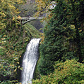 Multnomah Falls 3 Photograph by DArcy Evans Multnomah Falls 3 Photograph by DArcy Evans