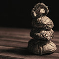 Mushroom Cairn Photograph by Holly Ross Mushroom Cairn Photograph by Holly Ross
