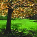 My Love Of Trees I by Lizzy Forrester My Love Of Trees I by Lizzy Forrester