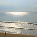 My morning run Photograph by Julie Lueders My morning run Photograph by Julie Lueders