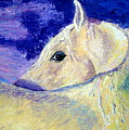 My Promus by Lisa Rose Musselwhite My Promus by Lisa Rose Musselwhite