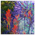 Mystic Photograph by Peggy Dietz Mystic Photograph by Peggy Dietz