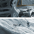 Nanotubes, Flame-resistant Coating, Sem by Kim/NIST Nanotubes, Flame-resistant Coating, Sem by Kim/NIST