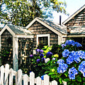 Nantucket Cottage No.1 Photograph by Tammy Wetzel Nantucket Cottage No.1 Photograph by Tammy Wetzel