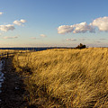 Napatree Dunes Photograph by Kirkodd Photography Of New England