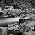 Natural Contrast Black And White by Dan Sproul Natural Contrast Black And White by Dan Sproul