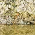 Natural stone background Photograph by Torbjorn Swenelius Natural stone background Photograph by Torbjorn Swenelius