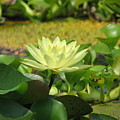 Nature by Amanda Barcon Nature by Amanda Barcon