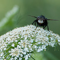Nature Up Close Photograph by Holden The Moment Nature Up Close Photograph by Holden The Moment