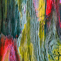 Nature's Secret Code - The Wood Grain Message #5 Digital Art by Serge Averbukh Nature's Secret Code - The Wood Grain Message #5 Digital Art by Serge Averbukh