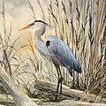 Nature's Wonder Painting by James Williamson Nature's Wonder Painting by James Williamson