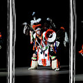 Navajo Dancer Photograph by Micah Offman