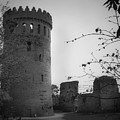 Nenagh Castle County Tipperary Ireland by Teresa Mucha Nenagh Castle County Tipperary Ireland by Teresa Mucha
