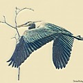 Nesting Heron Mixed Media by Denise Railey Nesting Heron Mixed Media by Denise Railey