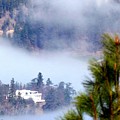 Nestled In The Fog by Will Borden Nestled In The Fog by Will Borden