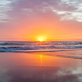 New Beginnings Photograph by Az Jackson New Beginnings Photograph by Az Jackson