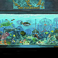 New York Aquarium by Bonnie Siracusa