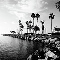 Newport Beach Jetty Photograph by Paul Velgos Newport Beach Jetty Photograph by Paul Velgos