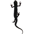 Amphibian Lizard Design by Tom Conway Amphibian Lizard Design by Tom Conway